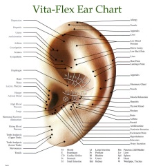 vitaflex-ear-chart