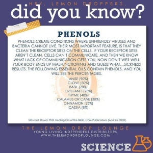 Info - Phenols